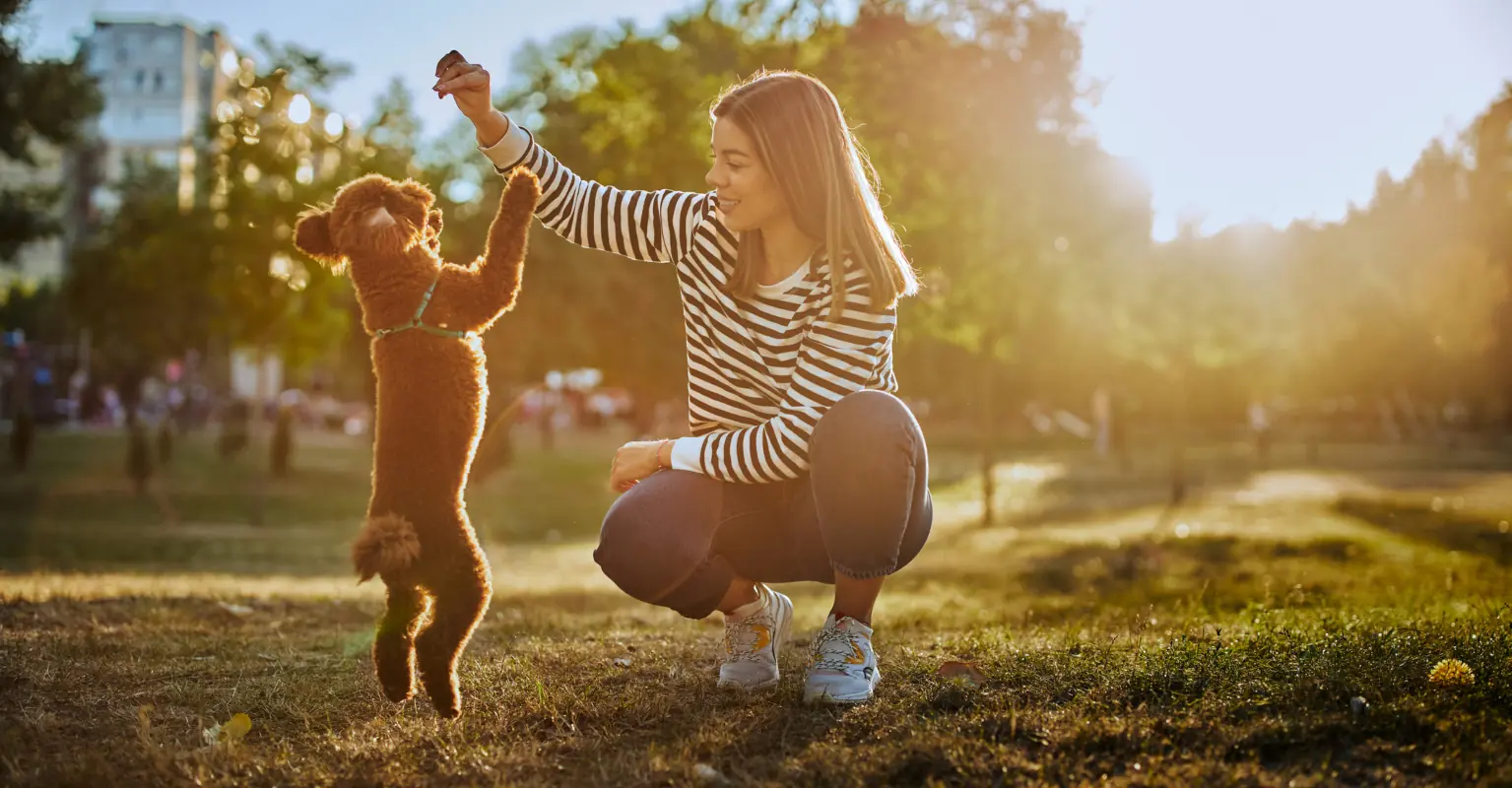 Debate breaks out online over whether or not workers should get 'pawternity' leave