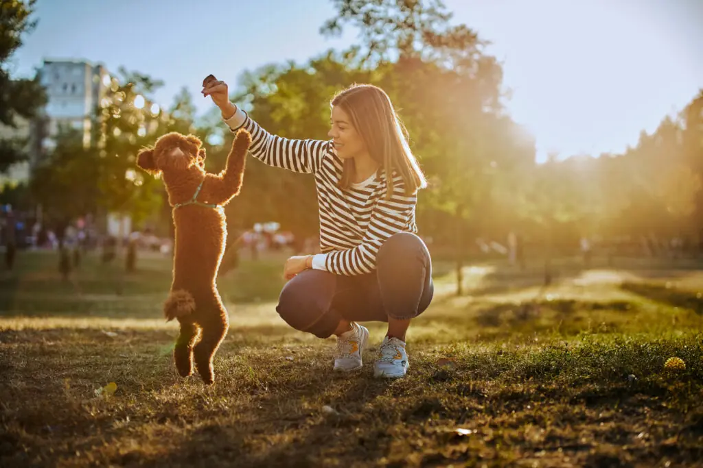 size-large wp-image-1263243847