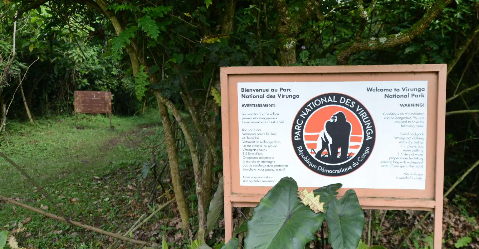 Gorilla who became famous for taking selfies dies in the arms of her caretaker