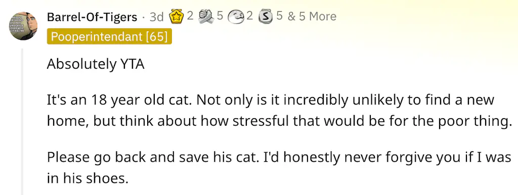 wp-image-1263129015 size-full