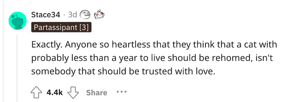 wp-image-1263129017 size-full