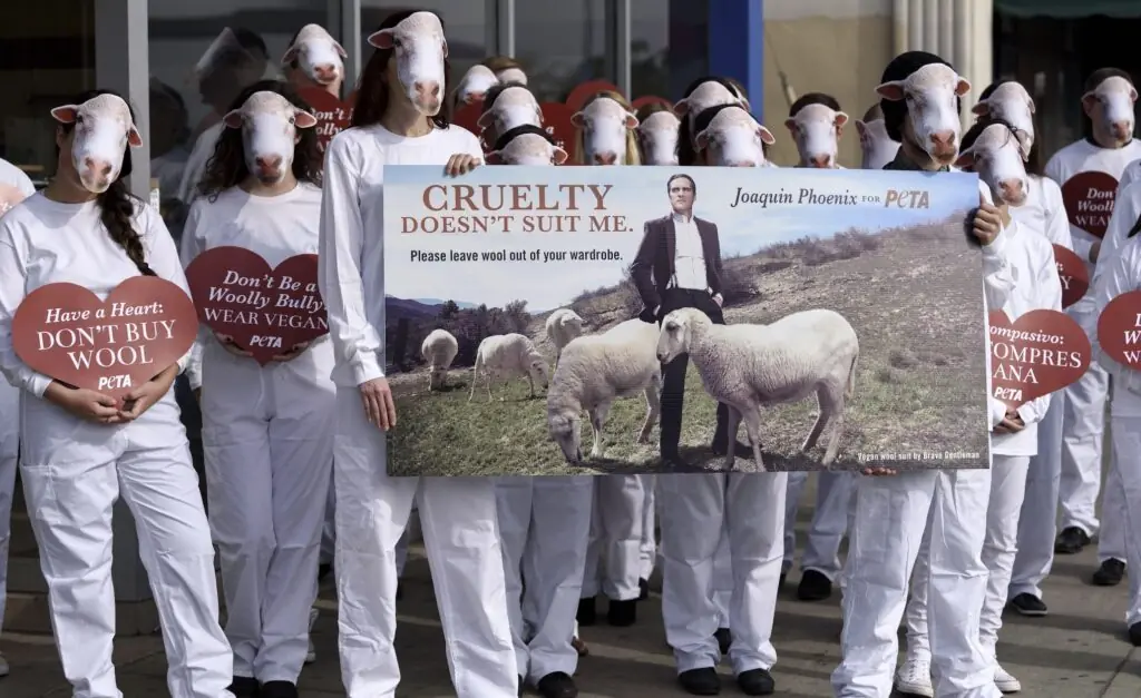 wp-image-1263130145 size-large