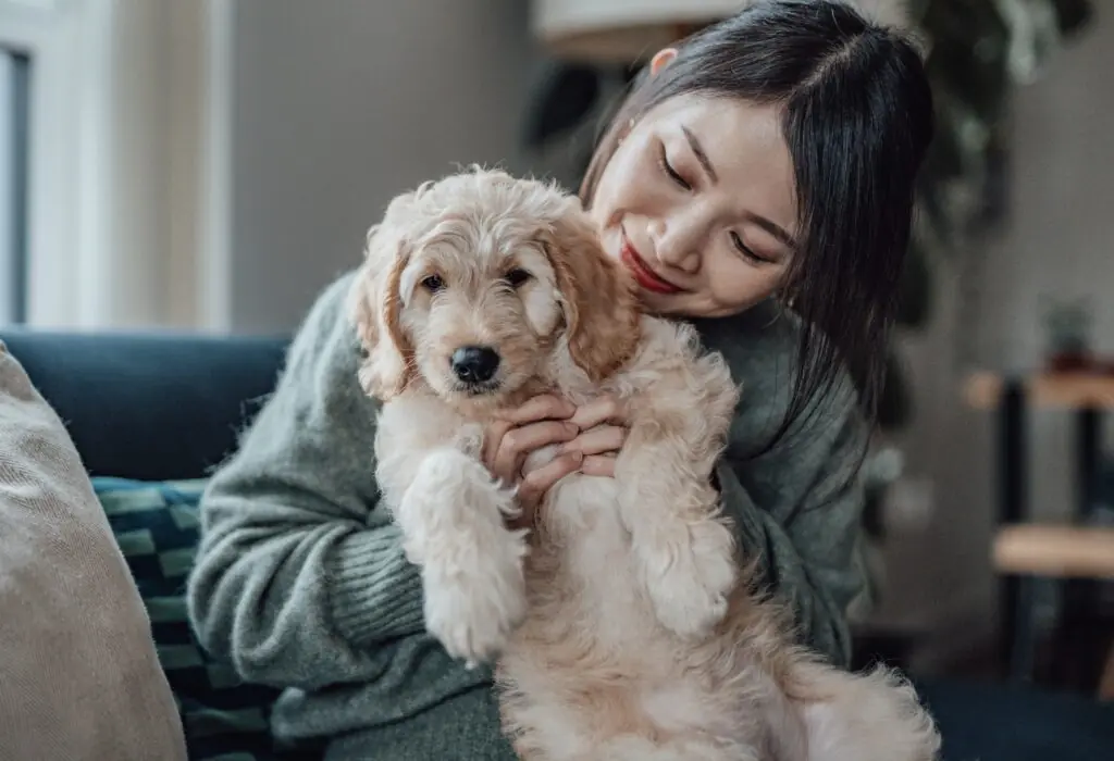 size-large wp-image-1263243845