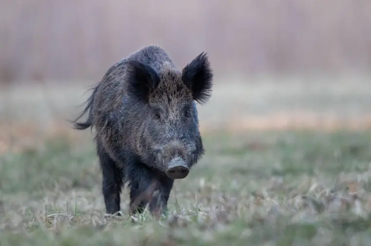 wp-image-1263128160 size-full