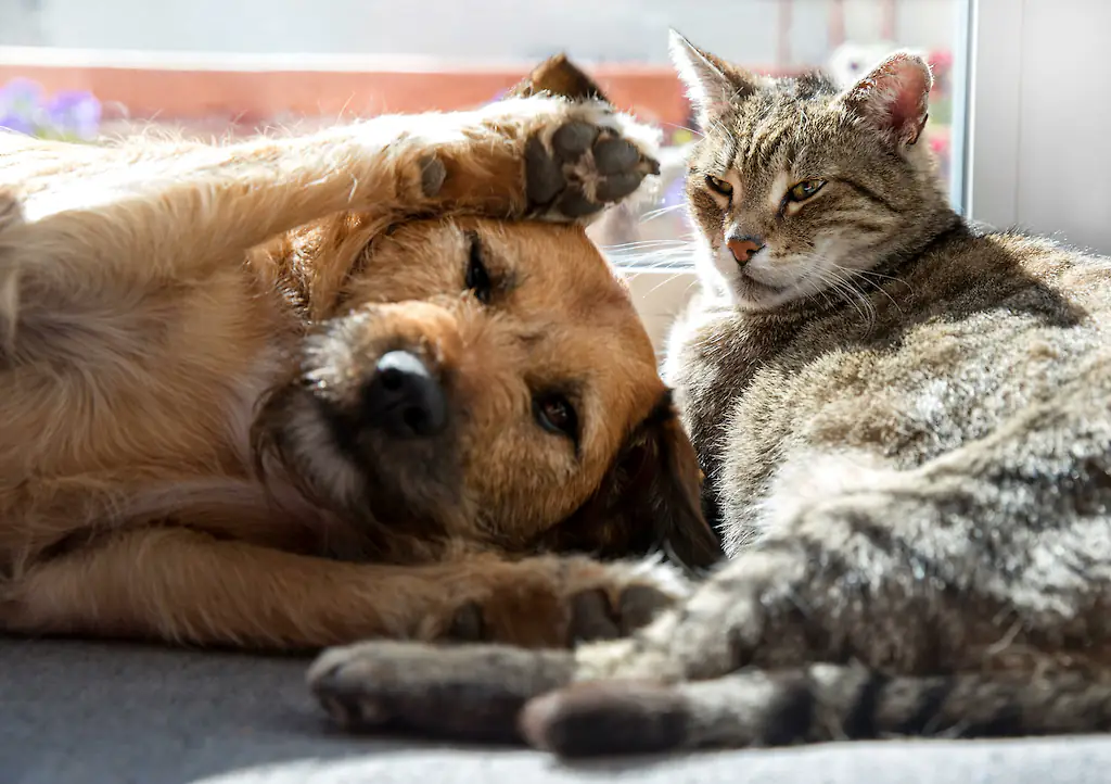 size-full wp-image-1263129003