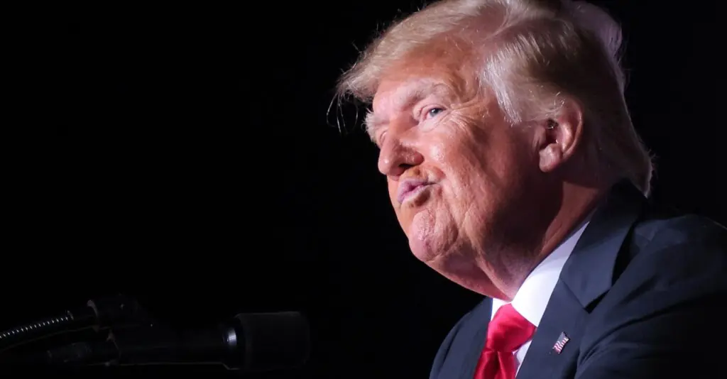 size-large wp-image-1263128653