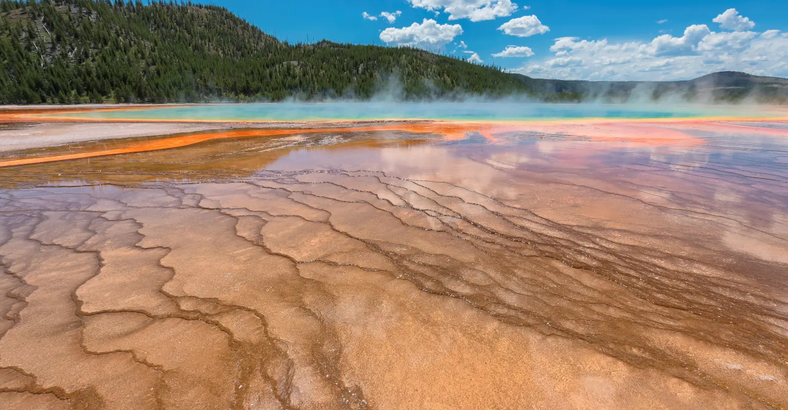 Woman in coma after suffering 90% burns after jumping into hot spring to save dog