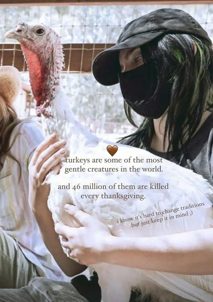 size-large wp-image-1263136735