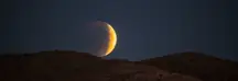 wp-image-1263135658