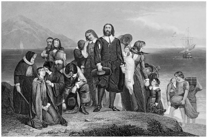 size-full wp-image-1263136611