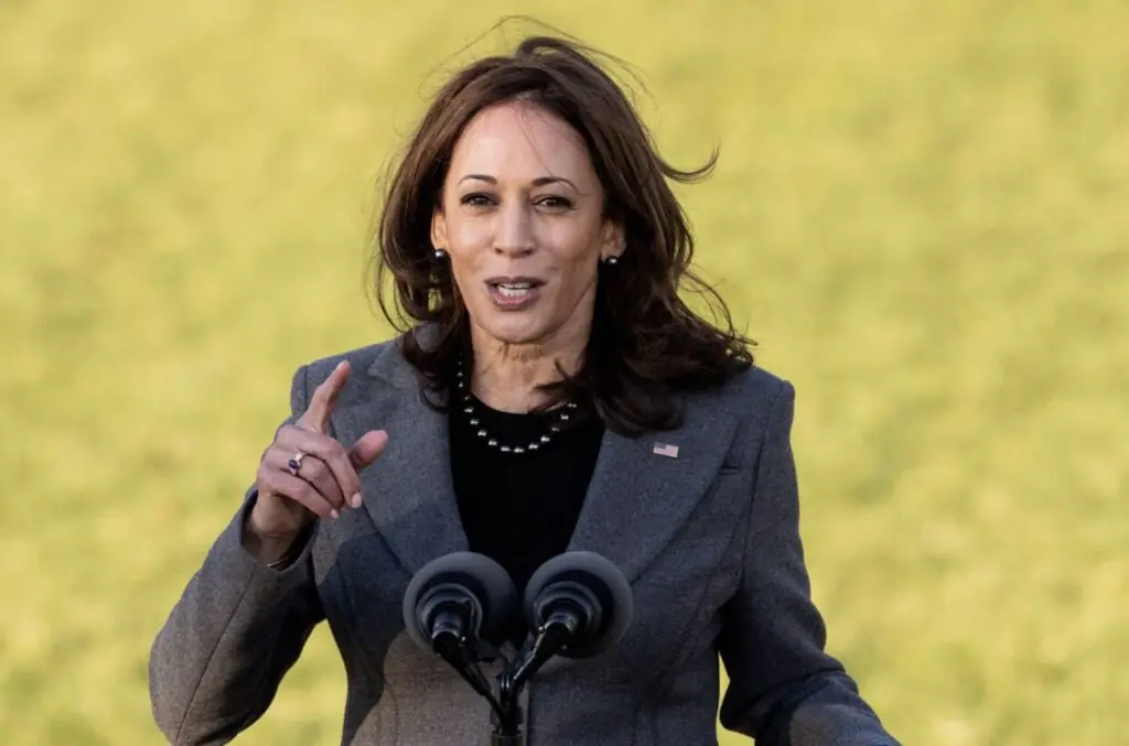 wp-image-1263135788 size-large