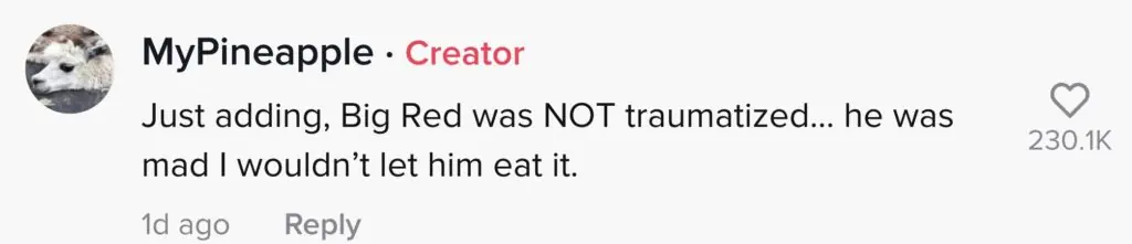 size-large wp-image-1263136765