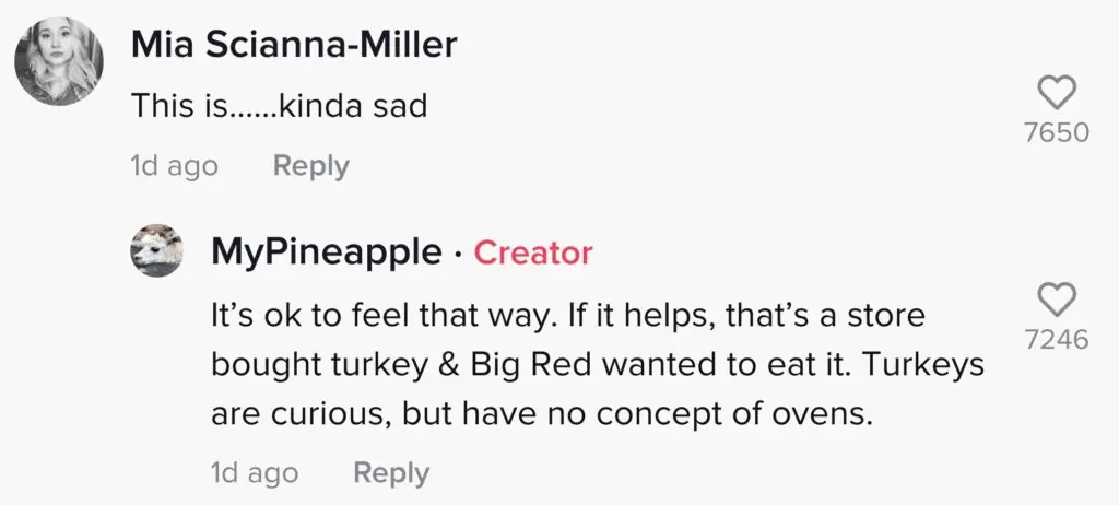 size-large wp-image-1263136770