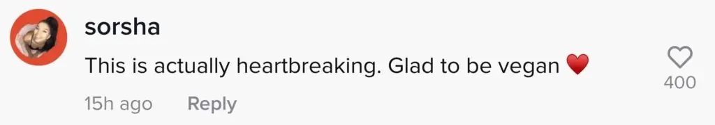 size-large wp-image-1263136772