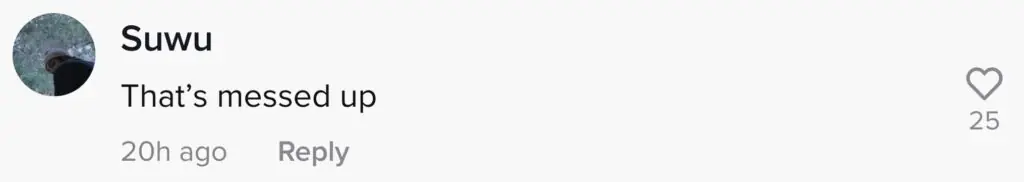 size-large wp-image-1263136773