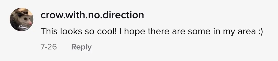 wp-image-1263139422 size-full