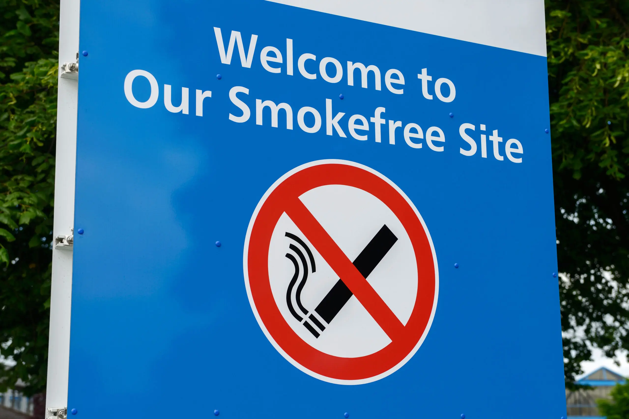 size-full wp-image-1263138210