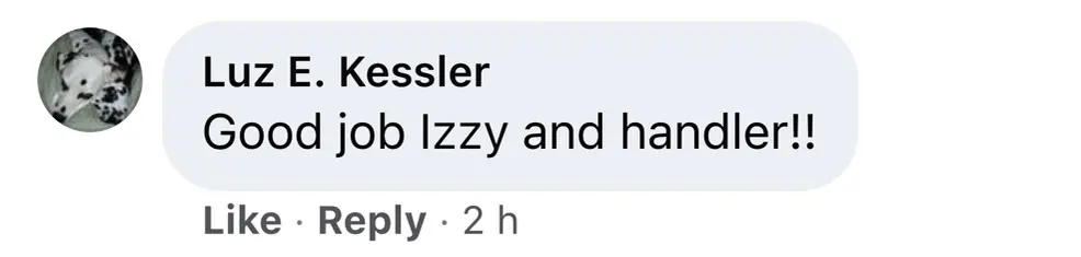 wp-image-1263138932 size-full