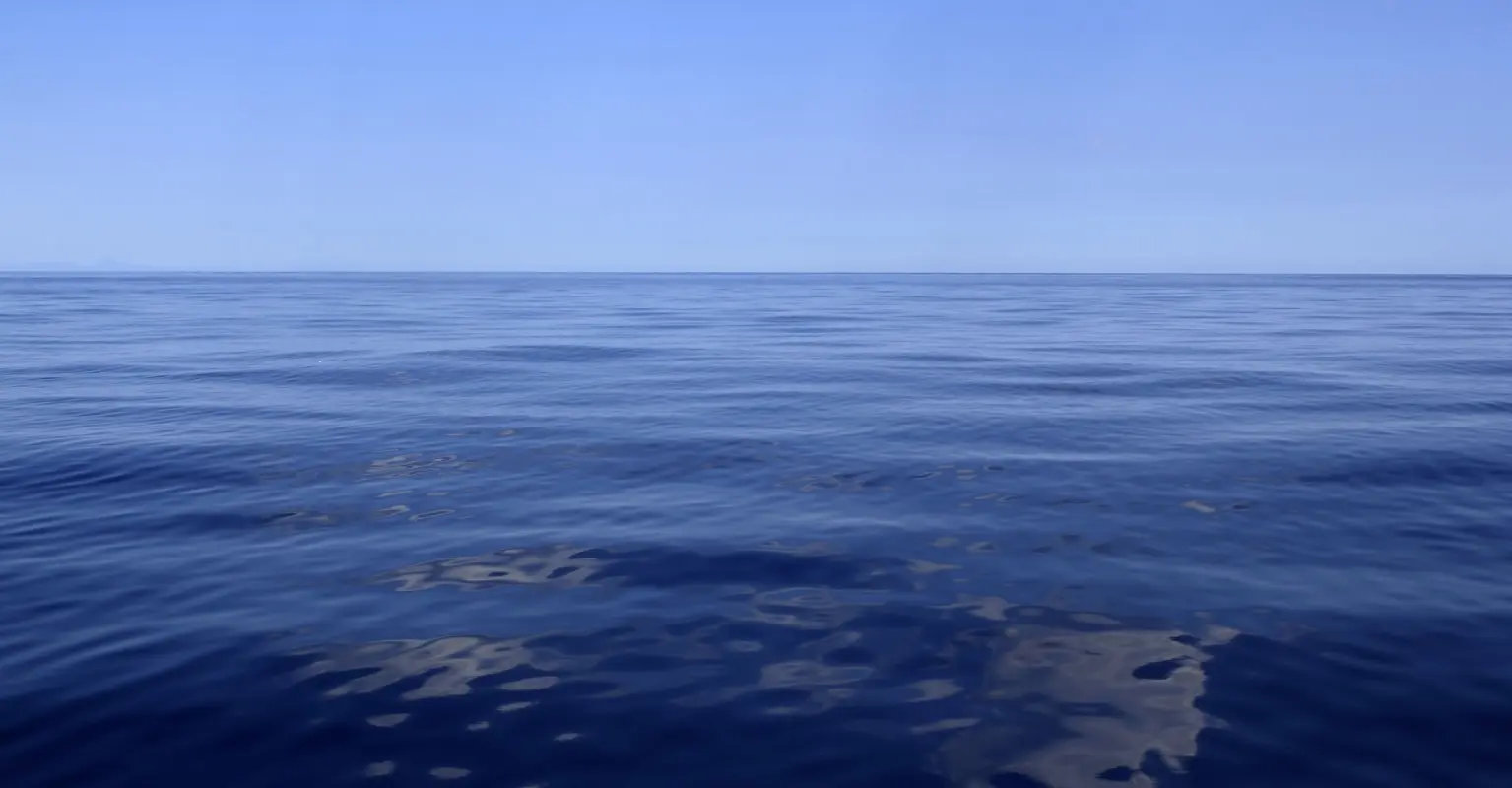 wp-image-1263137644 size-full