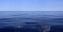 wp-image-1263137644 size-full