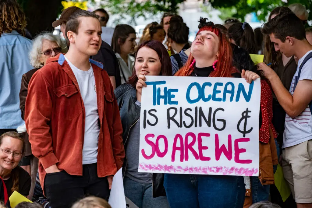 size-large wp-image-1263138568