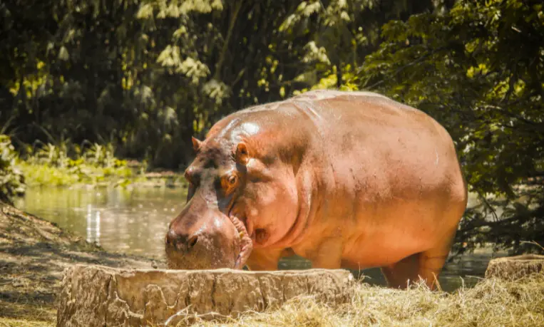 wp-image-1263138452 size-full