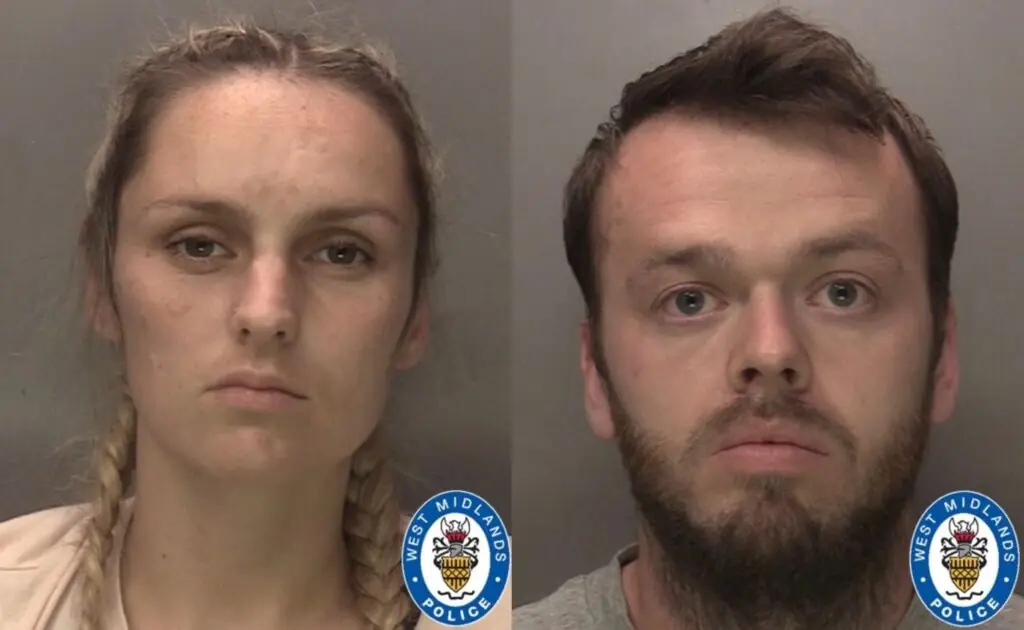 size-large wp-image-1263137636