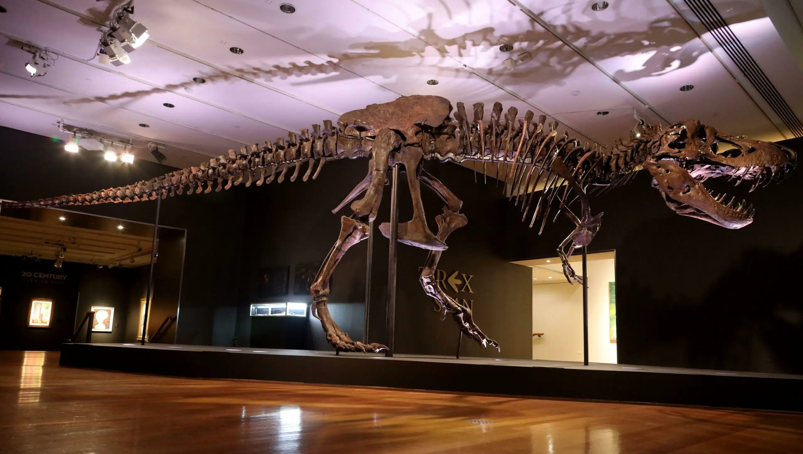 wp-image-1263141984 size-full