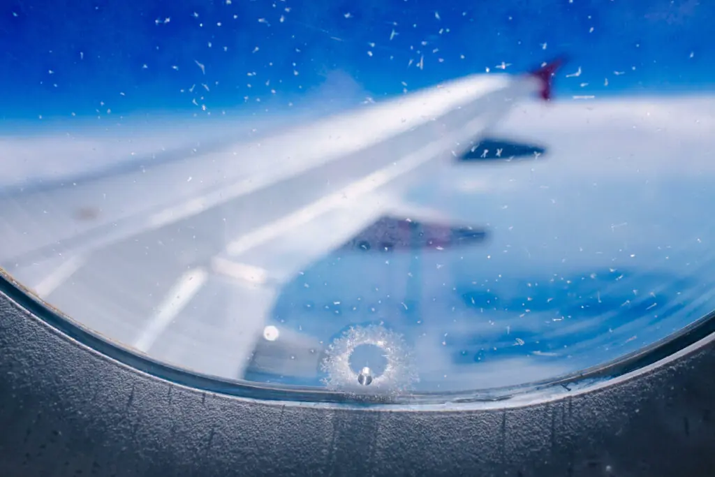 size-large wp-image-1263141465