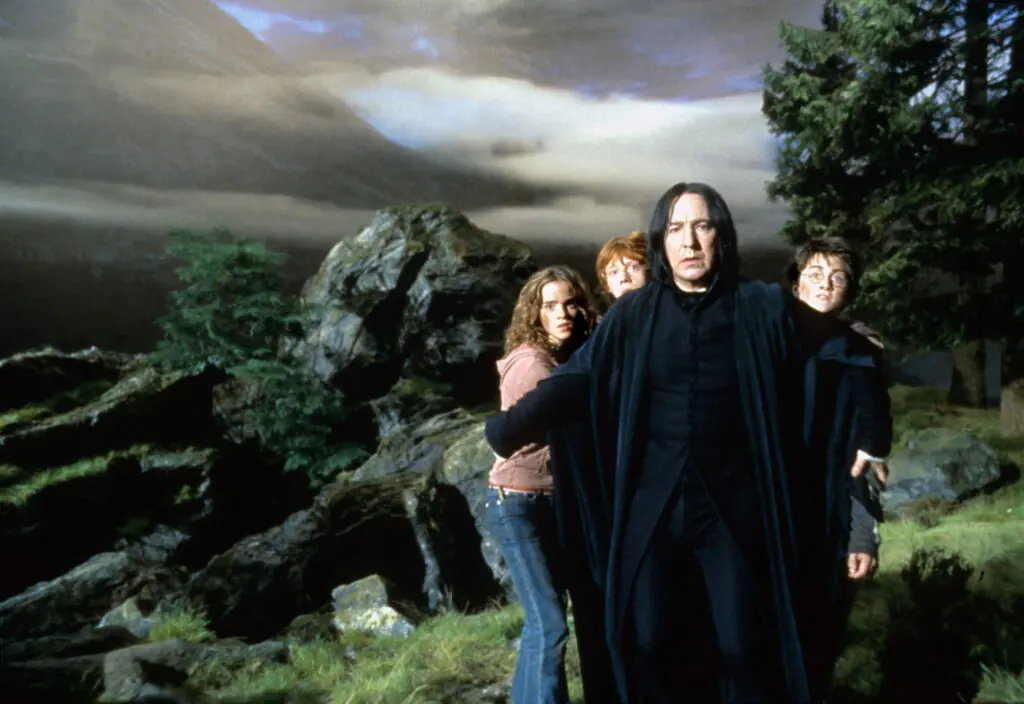 wp-image-1263140282 size-large