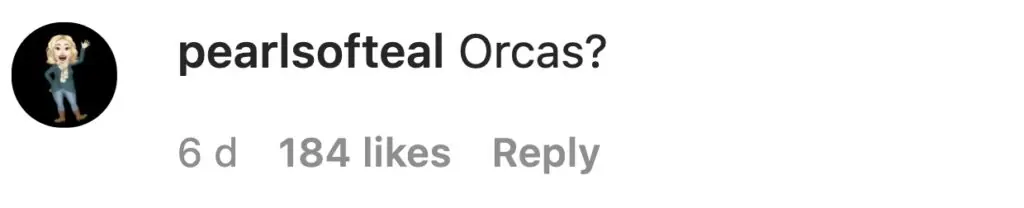 size-large wp-image-1263140121