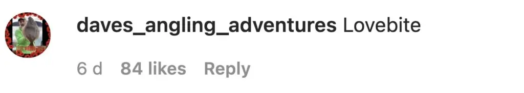 size-large wp-image-1263140122