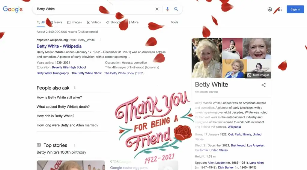 wp-image-1263141521 size-large