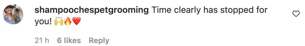 size-large wp-image-1263141545