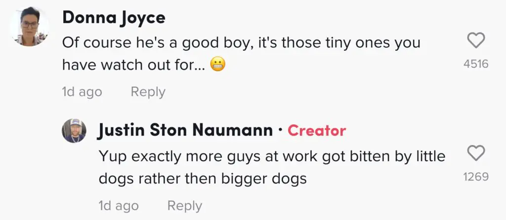 size-large wp-image-1263141721