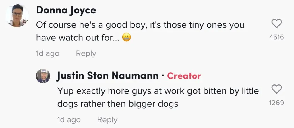 size-large wp-image-1263141721