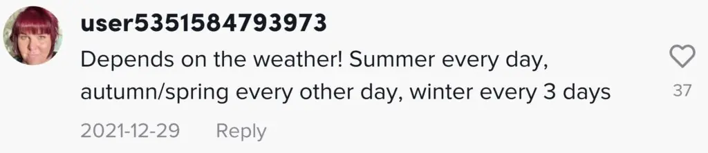 size-large wp-image-1263143055