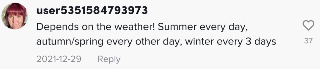 size-large wp-image-1263143055