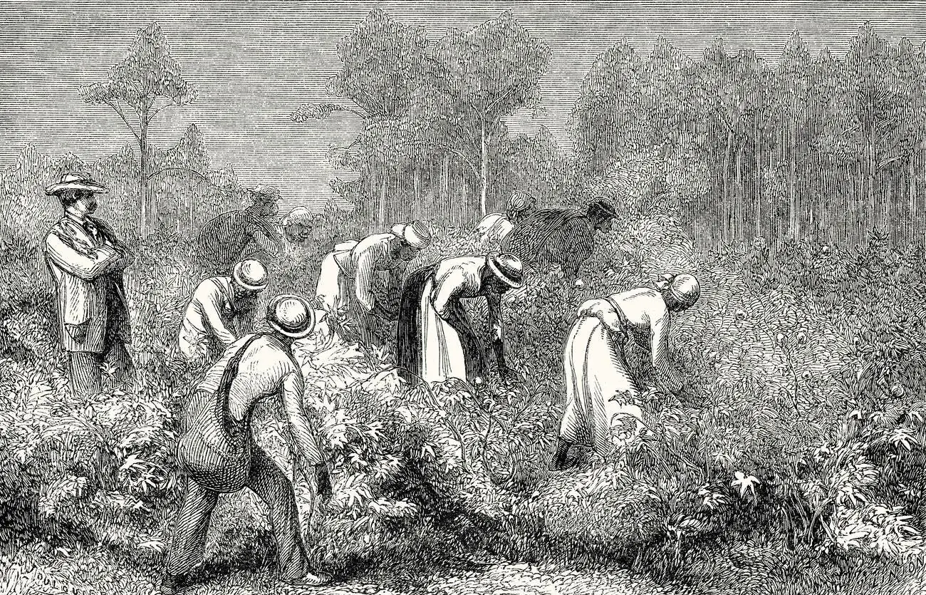 size-full wp-image-1263146424