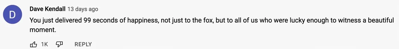 wp-image-1263144945 size-full