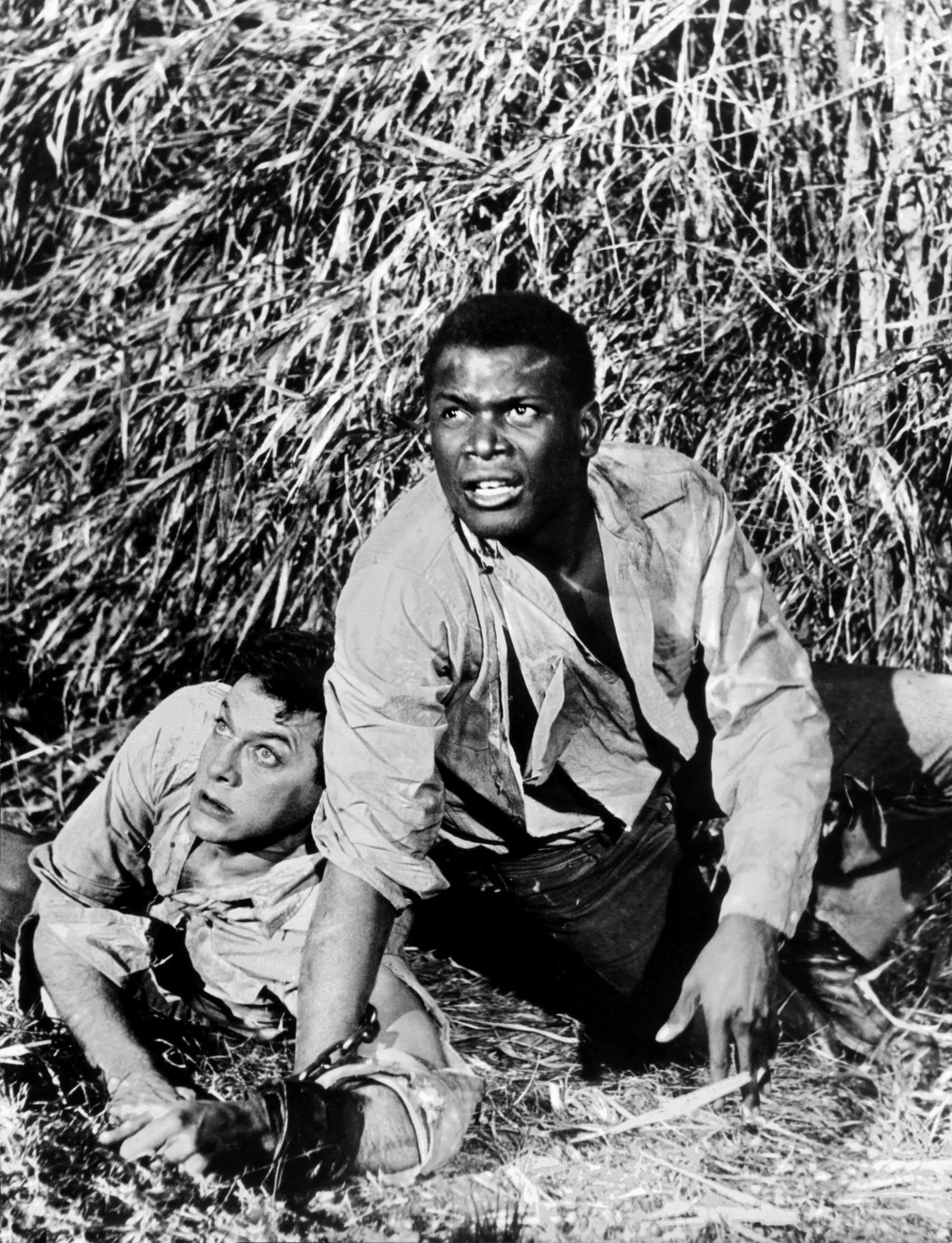 size-full wp-image-1263144219