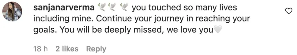 size-large wp-image-1263145772