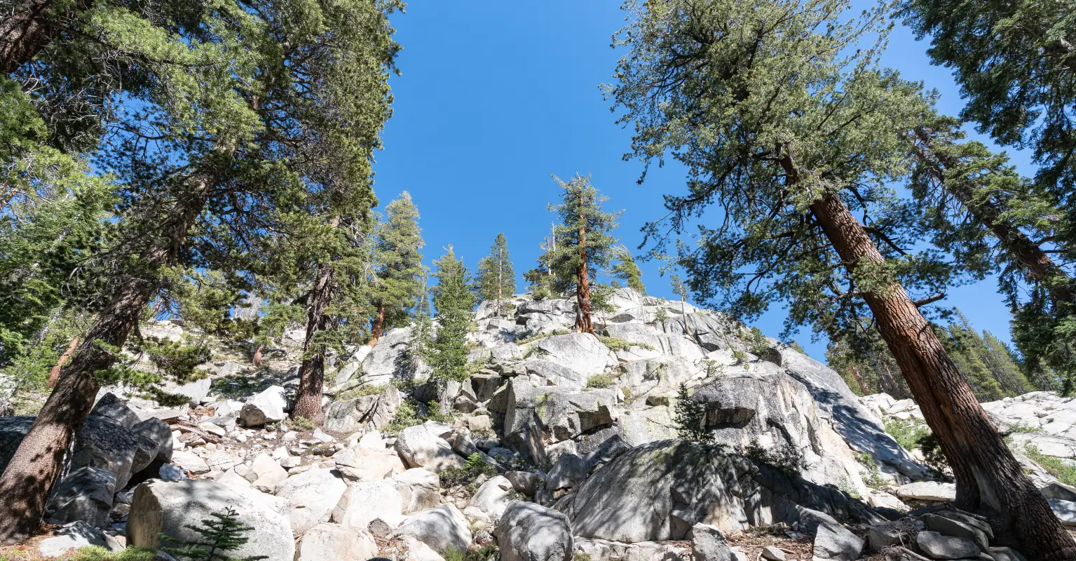 Final message reveals hiking family’s desperate plea for help before they died with their dog