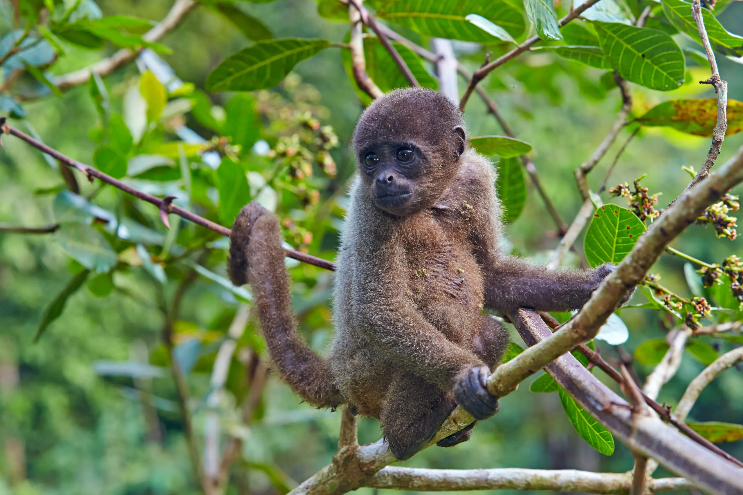 wp-image-1263149947 size-full