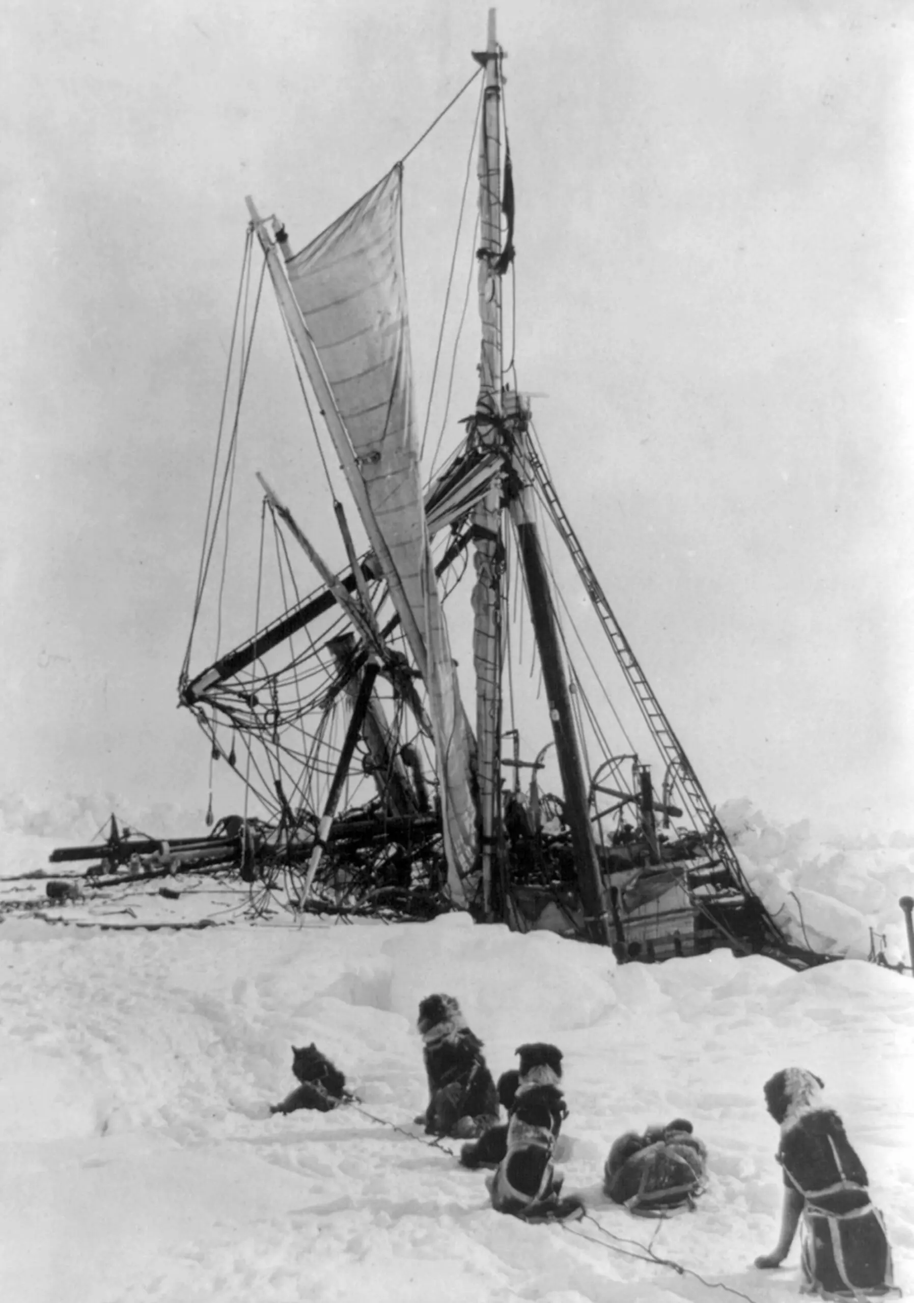 wp-image-1263147394 size-full