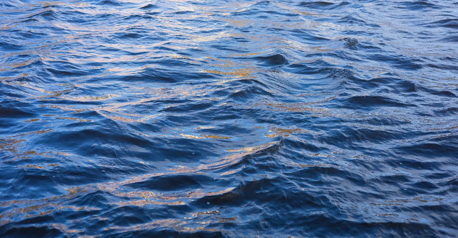 Cargo ship carrying '4000 luxury cars' sinks in the middle of the Atlantic after catching fire