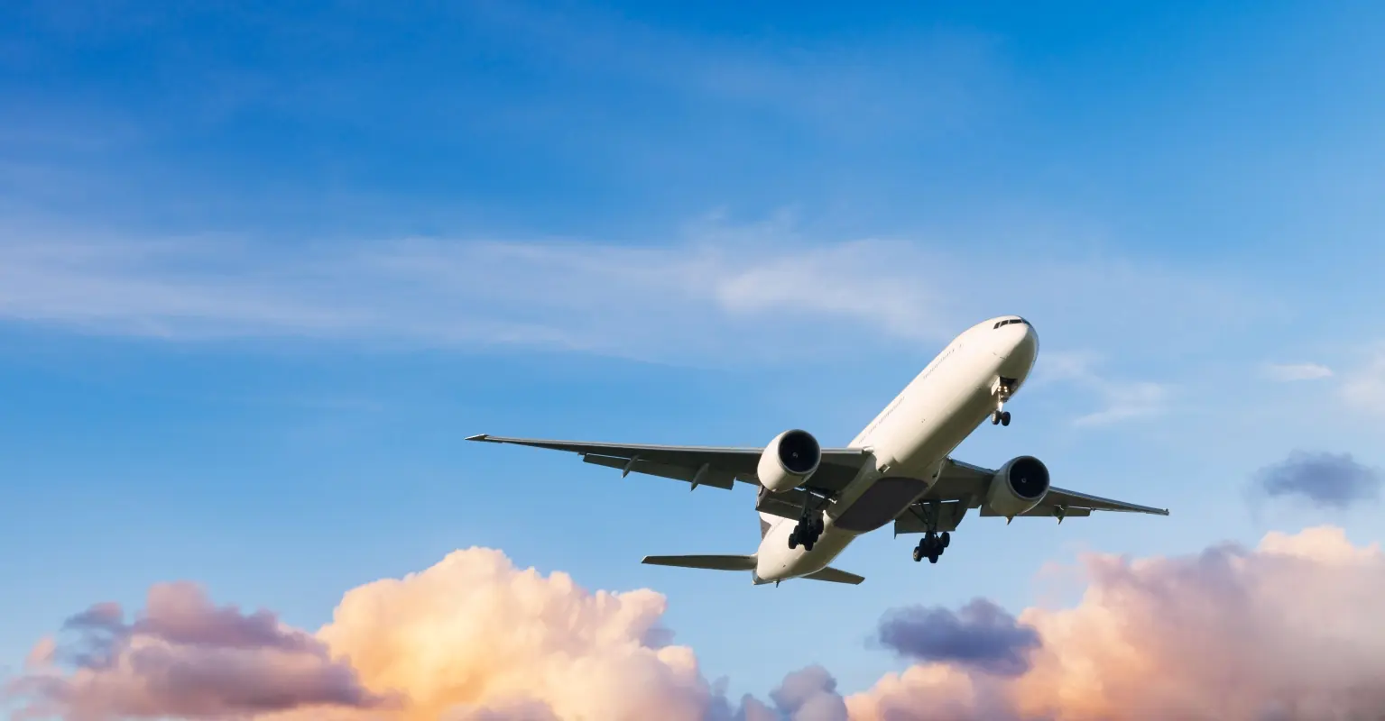 size-full wp-image-1263148946