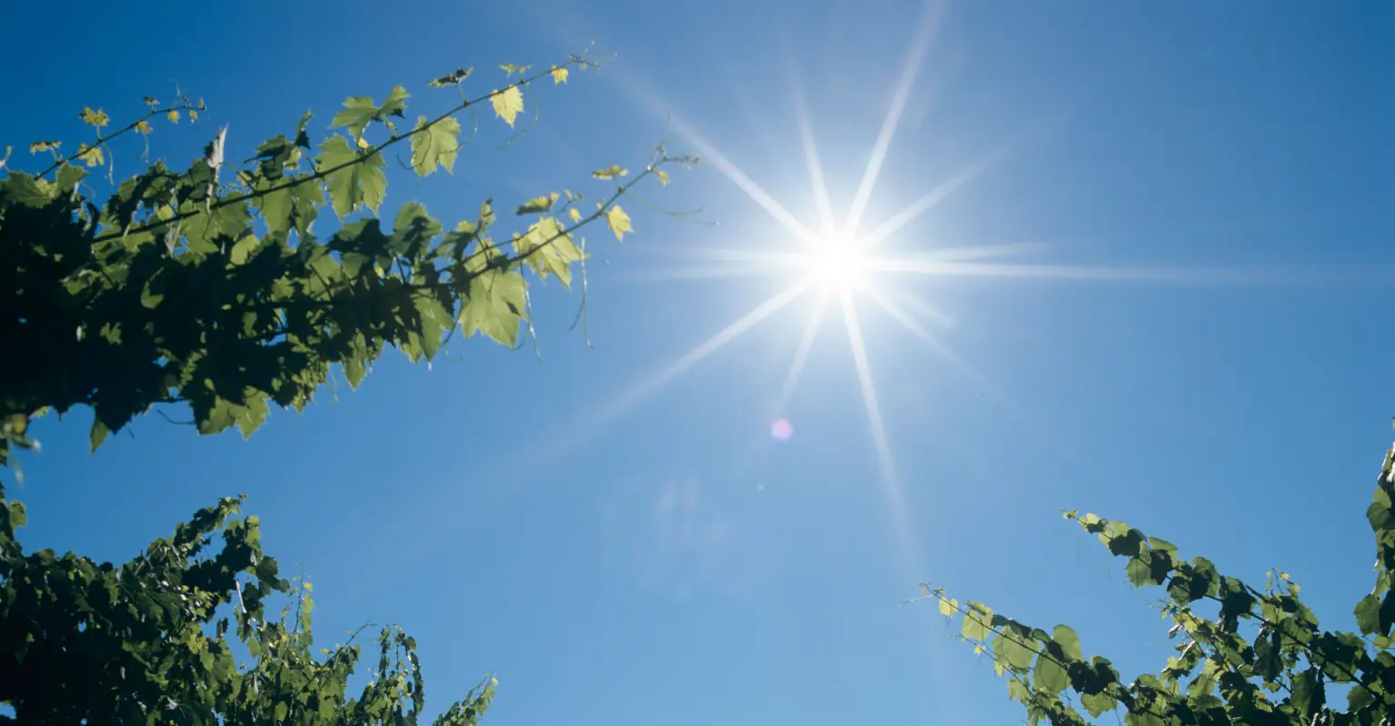 US Senate passes bill to make daylight savings time permanent