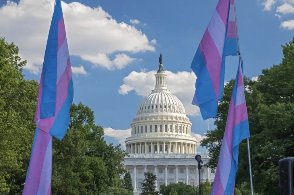 size-large wp-image-1263150013