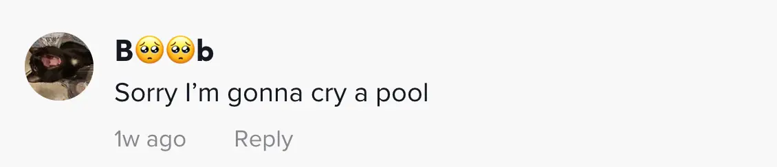 wp-image-1263150887 size-full